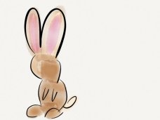 vague rabbit